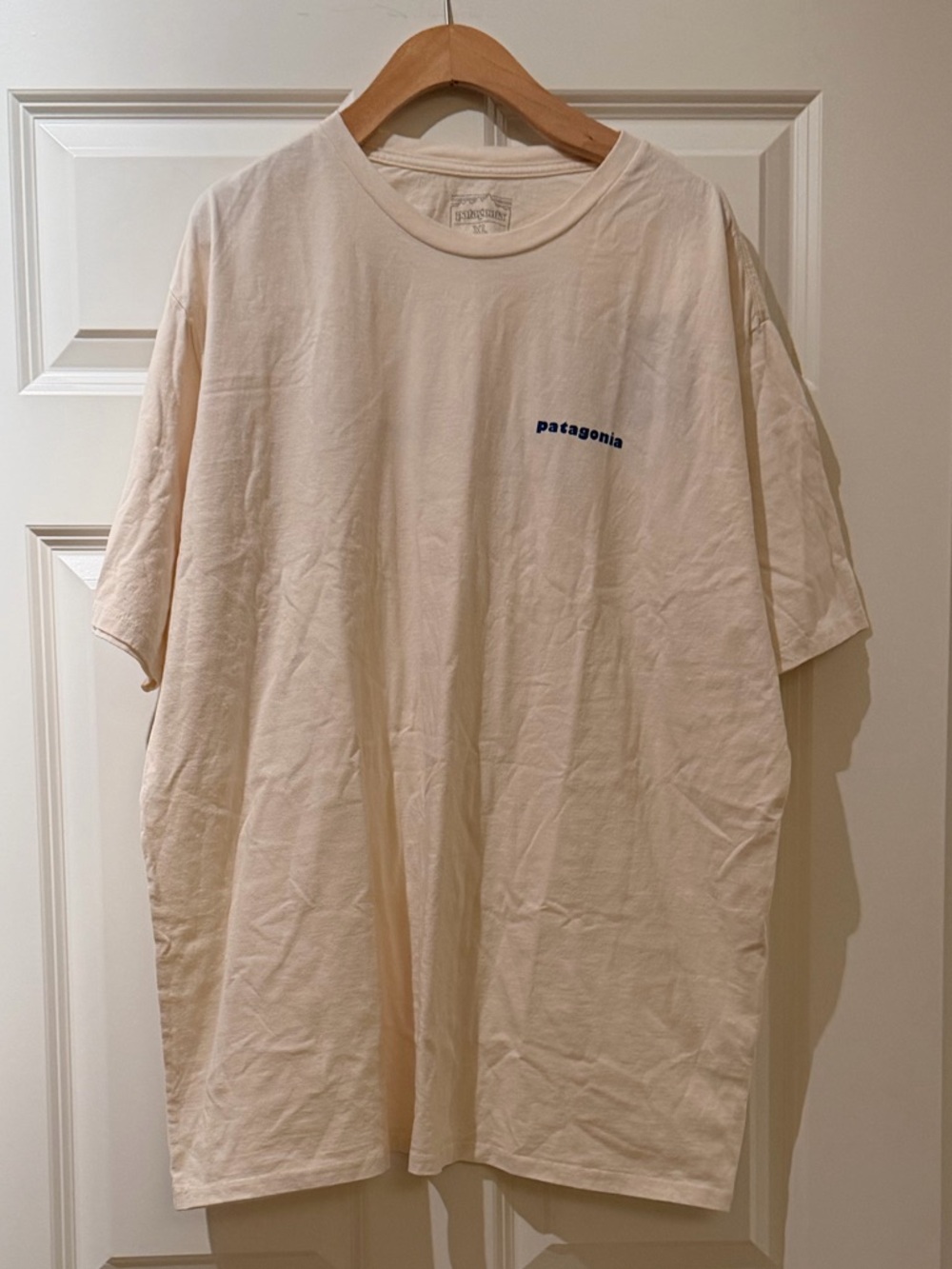 PATAGONIA men’s CTA Organic T-Shirt - ONLY EARTH UNDYED NATURAL - Picture 2 of 12